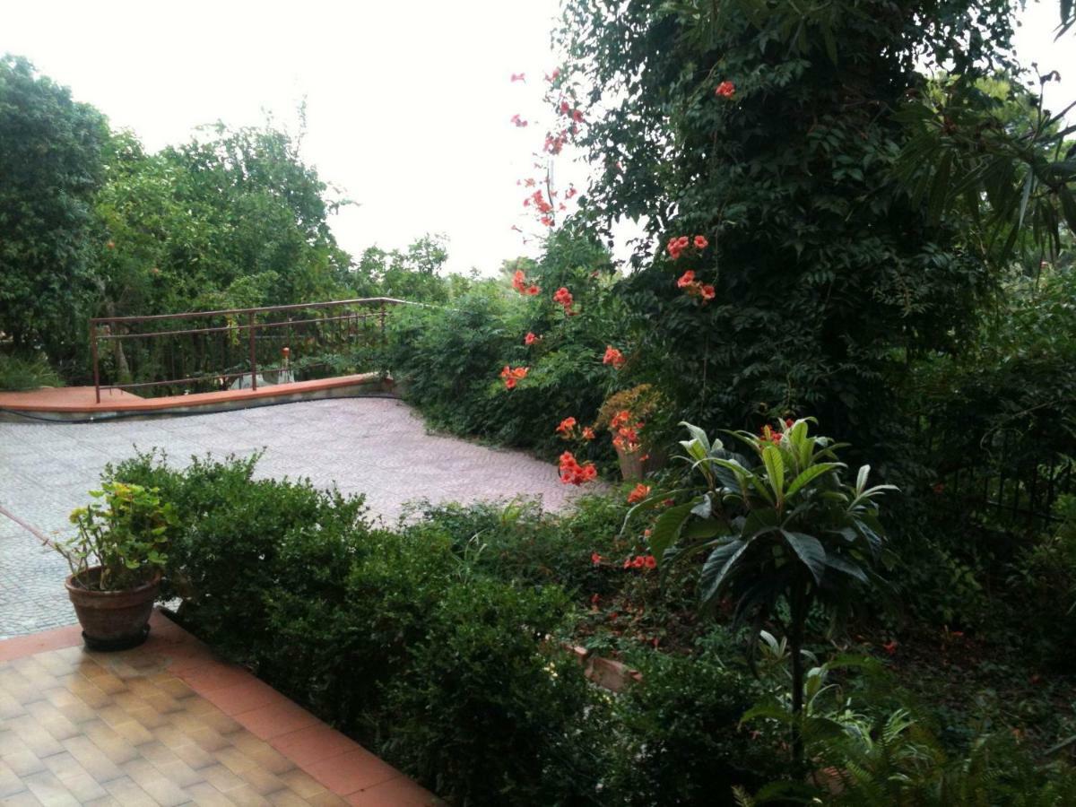 Green Villa Sand Beach Center Close Sea Veiw Cefalù Exterior foto
